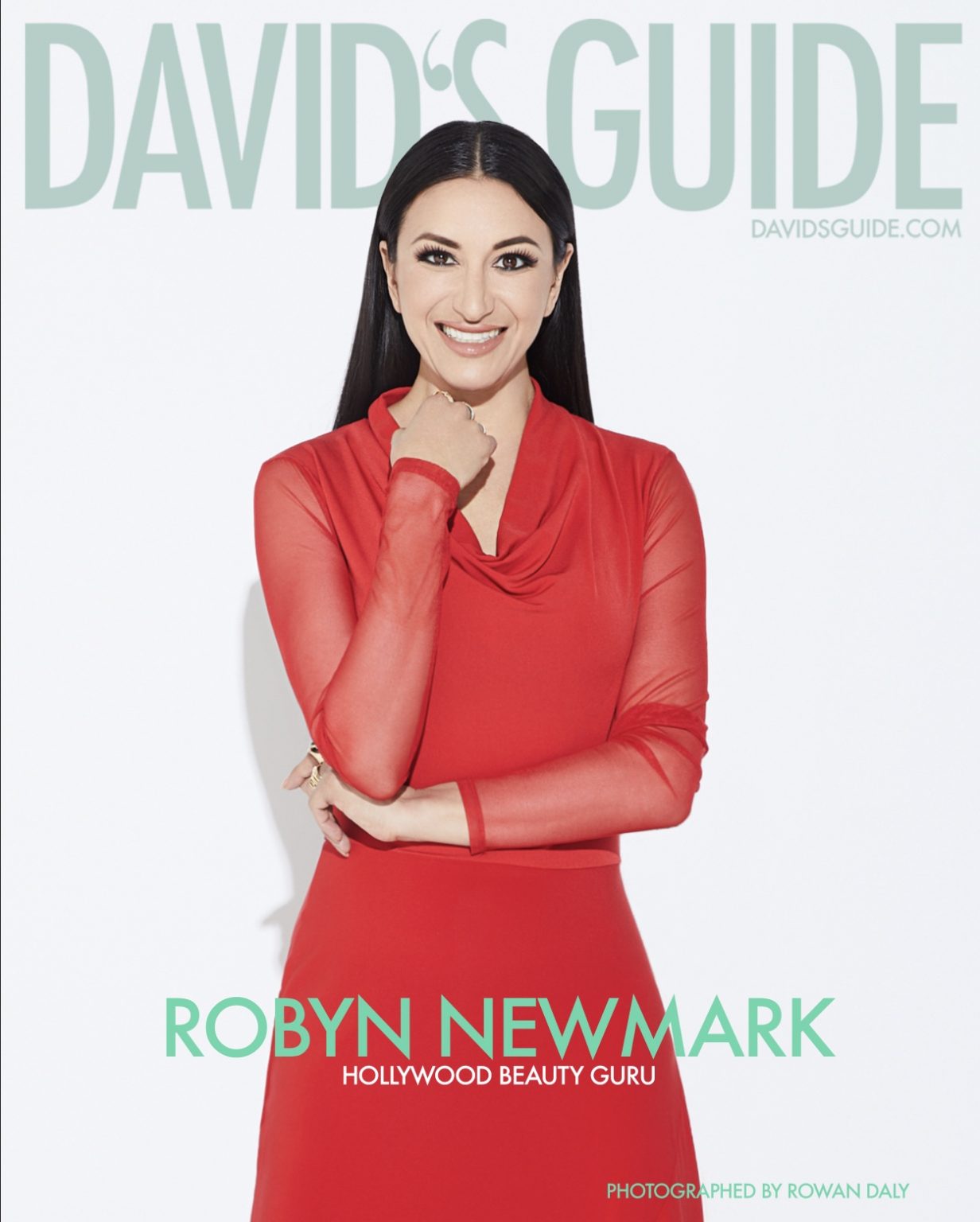 David's Guide Robyn Newmark Cover